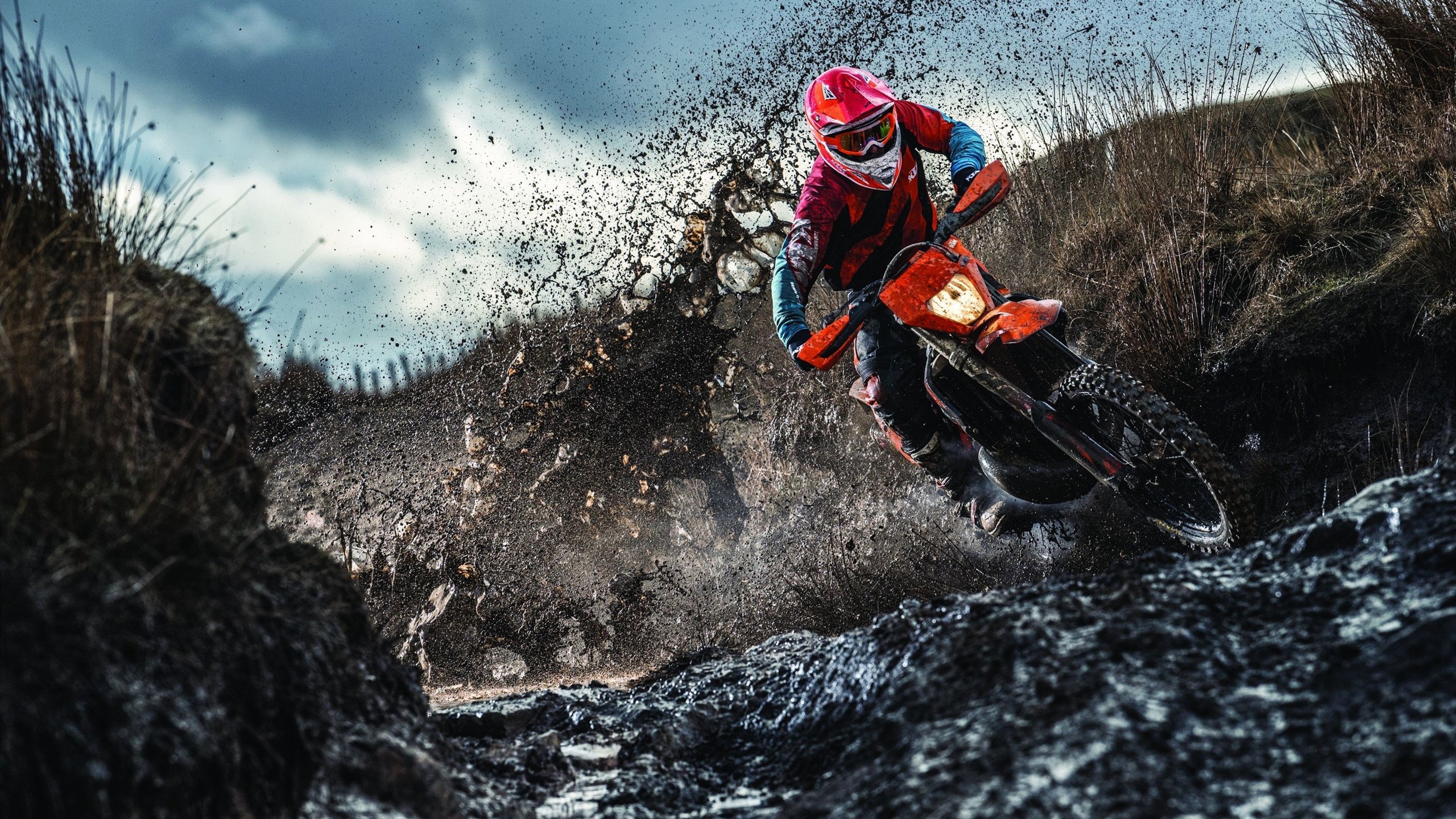 未来之星：年轻新秀在季后赛中的爆发瞬间！，未来之星即将诞生